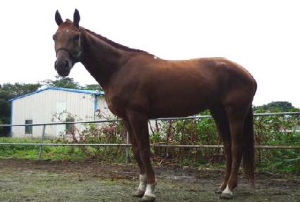 �ݺ�õ�� ����