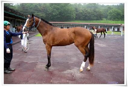 ������Ʈ�� ����