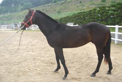 ���۱׷���Ʈ ����