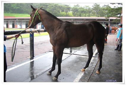 ���� ����