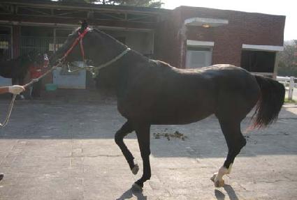 �����Ͼ� ����