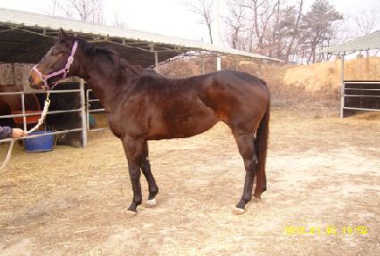 ��ǳ ����