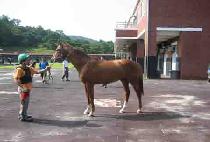 ����Ʈ����Ʈ (GATEPOST) ����