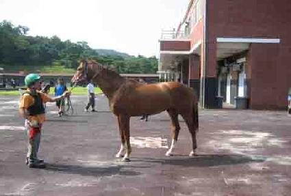 ����Ʈ����Ʈ ����