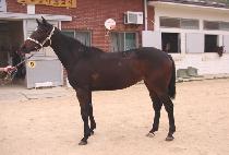 �������� (BORYEONG CHUKJE) ����