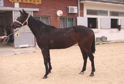 �������� ����