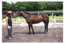 ������� (JANGSU MIIN) ����