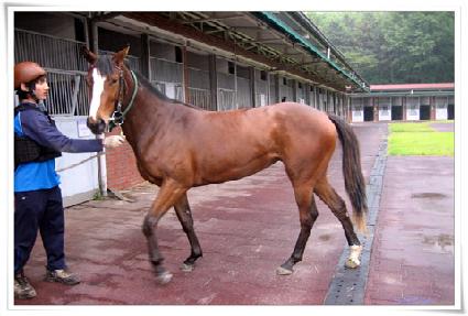 ƴ������ ����