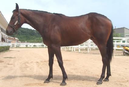 ���ĸ ����