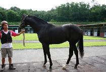 ���ι��� (SEONDU MUJEOK) ����