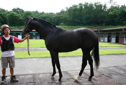 ���ι��� ����