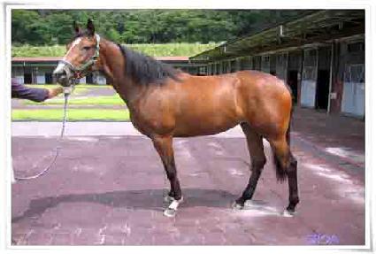 �ٴ����� ����