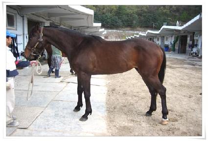 ���ݺ��� ����