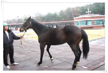 �ÿ��� ����