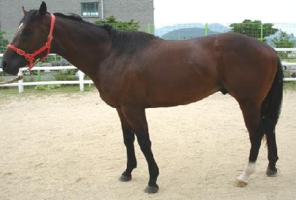 ����Ʈ ����