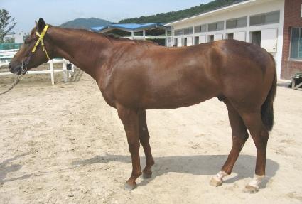 ���è�Ǿ� ����