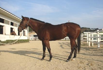 Ȳ������ ����