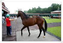 ��ũ������ (SECRET RUNNER) ����