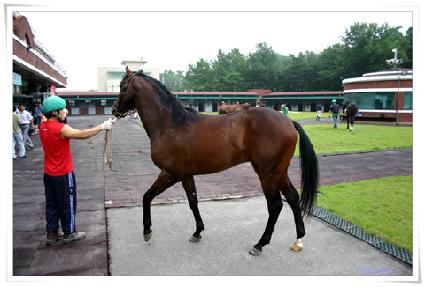 ��ũ������ ����