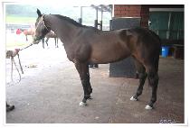 õ�󿩰� (CHEONSANGYEOGEOL) ����