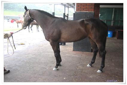 õ�󿩰� ����