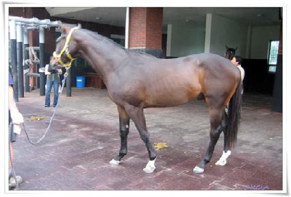 ��Ǵ�� ����