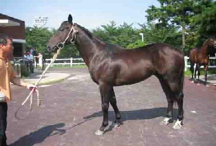 õ���Ÿ� ����