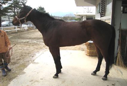 ���ֶ� ����