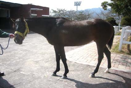 �ƾ� ����