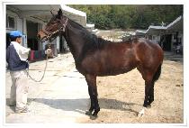 ��Ź��õ�� (WONTAGUI CHEONSA) ����