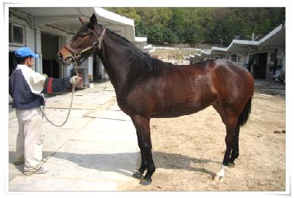 ��Ź��õ�� ����