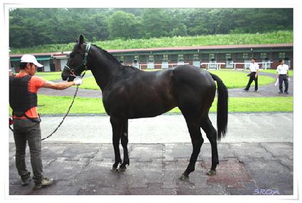 Ʈ���ñ׸� ����