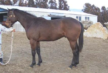 Ȳ�ݵ��� ����