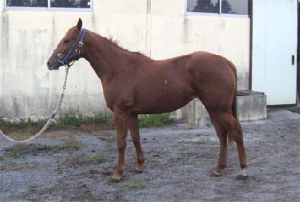 �̽��� ����