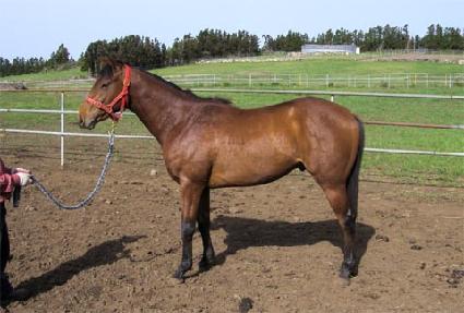 ���Ǻ� ����