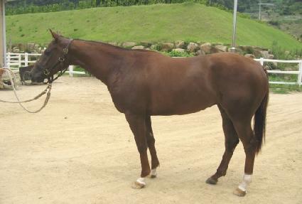 ���������Դ� ����