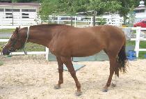 �������� (WANJEON MUJEOK) ����