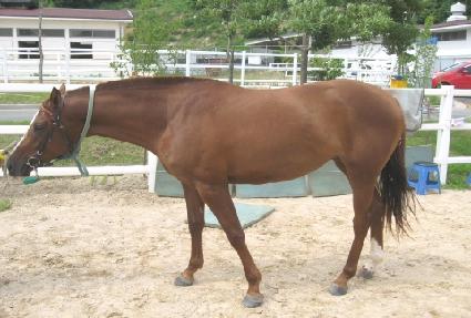 �������� ����