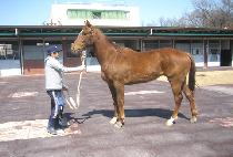 ������ (JEONGYEOKJEON) ����