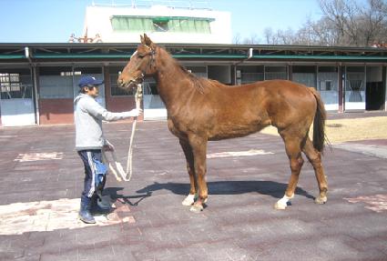 ������ ����