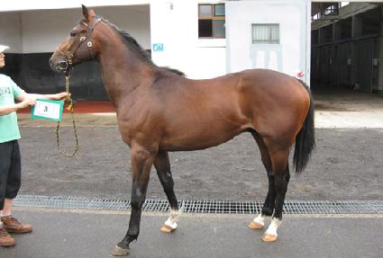 �������ູ ����