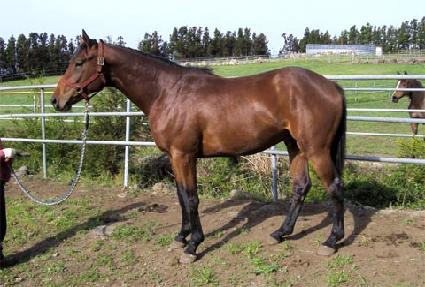 õ�պ� ����