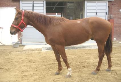 ��ƿ��� ����