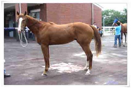 �������� ����