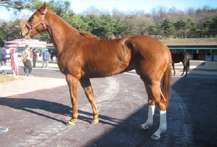 ������� ����