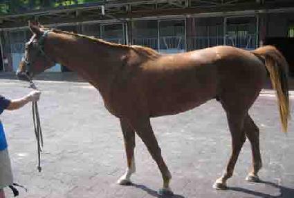 ����õ�� ����