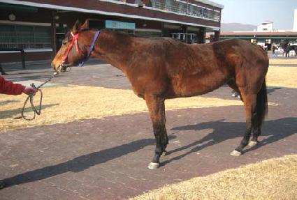 ������Ʈ�� ����