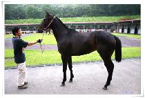 ��� (DAEBONG) ����