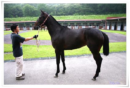 ��� ����