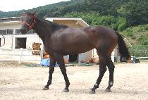 ��� (LUMEN) ����